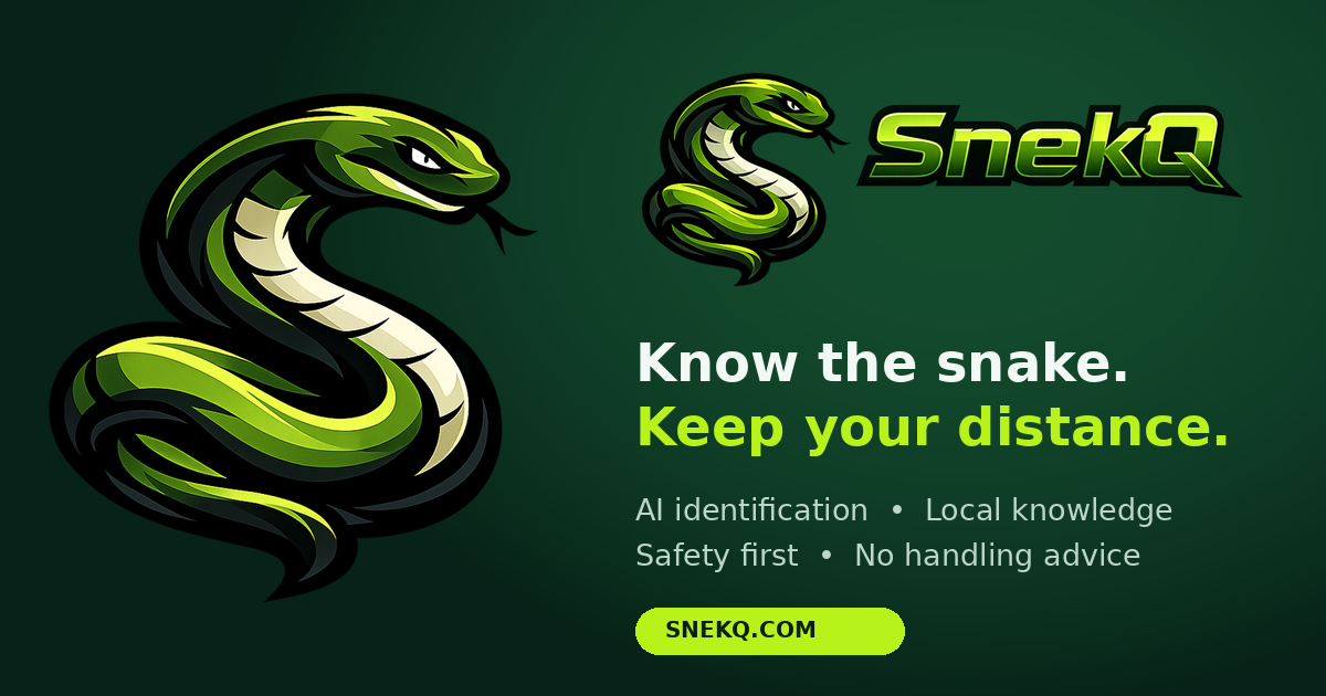 SnekQ identification example